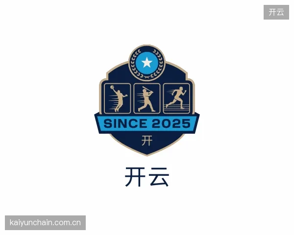 解读开云部门